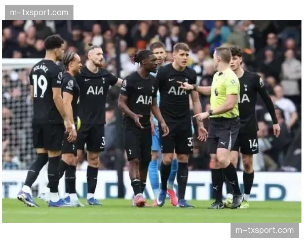 VAR争议再起，都灵点球判罚引发讨论